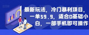 最新玩法，冷门暴利项目，一单59.9，适合0基础小白，一部手机即可操作【揭秘】-副业宇宙