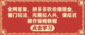 全网首发，拼多多砍价撸现金，偏门玩法，无需拉人头，傻瓜式操作保姆教程【揭秘】-副业宇宙