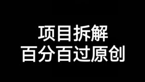 项目拆解赛道百分百过原创【揭秘】-副业宇宙