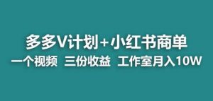 【蓝海项目】多多v计划+小红书商单一个视频三份收益工作室月入10w-副业宇宙