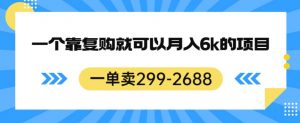 一单卖299-2688,一个靠复购就可以月入6k的暴利项目【揭秘】-副业宇宙