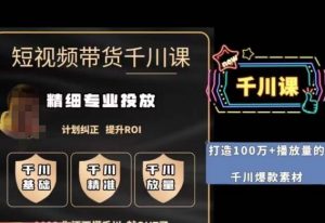 短视频带货-千川专业投放课，​精细化专业投放，计划纠正，提升ROI-副业宇宙
