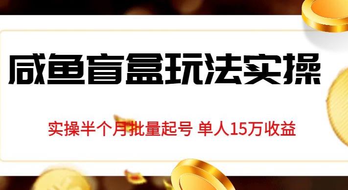 独家首发咸鱼盲盒玩法实操，半个月批量起号单人15万收益【揭秘】-副业宇宙