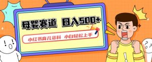 小红书育儿资料，一部手机可操作，多种变现方式，日入500+，私域变现，长期可持续项目【揭秘】-副业宇宙