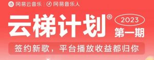 2023年8月份网易云最新独家挂机技术，真正实现挂机月入5000【揭秘】-副业宇宙