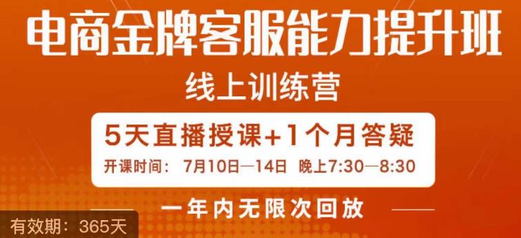 电商金牌客服能力提升班，提升客服能力是你店铺业绩的关键要素-副业宇宙