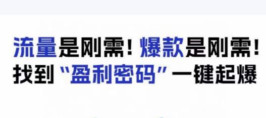 电商盈利精品课：6大盈利密码让产品更好卖，流量是刚需！爆款是刚需！找到”盈利密码”一键起爆-副业宇宙