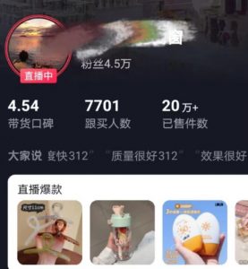 全新的蓝海赛道，抖音一元直播，不用囤货，不用出镜，照读话术也能20w+月销量【揭秘】-副业宇宙