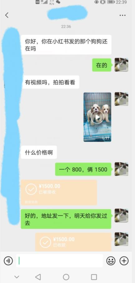 外边收费3980的同城萌宠项目，用最冷门的玩法冲击最热门的市场【揭秘】-副业宇宙