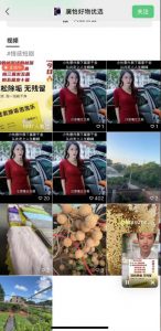 外面收费198的最新视频号连怼技术，条条原创，条条爆单【揭秘】-副业宇宙