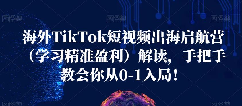 海外TikTok短视频出海启航营（学习精准盈利）解读，手把手教会你从0-1入局！-副业宇宙