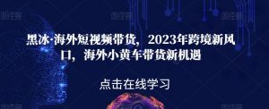 黑冰·海外短视频带货，2023年跨境新风口，海外小黄车带货新机遇-副业宇宙