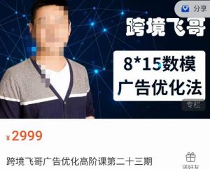 跨境飞哥·广告优化高阶课第二十三期,8*15数模广告优化法,用数据驱动决策-副业宇宙