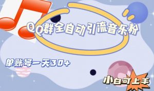 QQ群全自动引流音乐粉，单账号一天轻松引流30+-副业宇宙