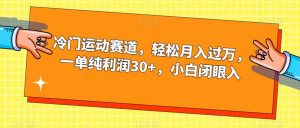 冷门运动赛道,轻松月入过万,一单纯利润30+,小白闭眼入【揭秘】-副业宇宙