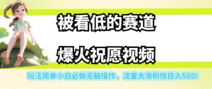 被看低的赛道爆火祝愿视频，玩法简单小白必做无脑操作，流量大涨粉快日入500-副业宇宙