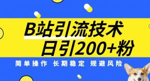 B站引流技术：每天引流200精准粉，简单操作，长期稳定，规避风险-副业宇宙