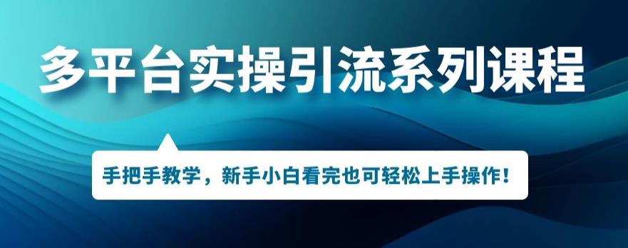 多平台引流实操系列课程，新手小白看完也可轻松上手进行引流操作-副业宇宙