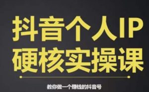个人IP创富系统实战课，商业定位，流量打造，短视频变现，教你做个赚钱的抖音号-副业宇宙