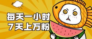 暴力涨粉项目:每天一小时,七天上万粉【揭秘】-副业宇宙
