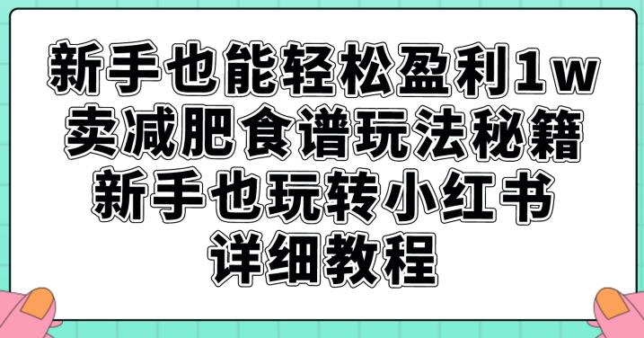 新手也能轻松盈利1w，卖减肥食谱玩法秘籍，新手也玩转小红书详细教程【揭秘】-副业宇宙