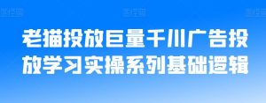 老猫投放巨量千川广告投放学习实操系列基础逻辑-副业宇宙