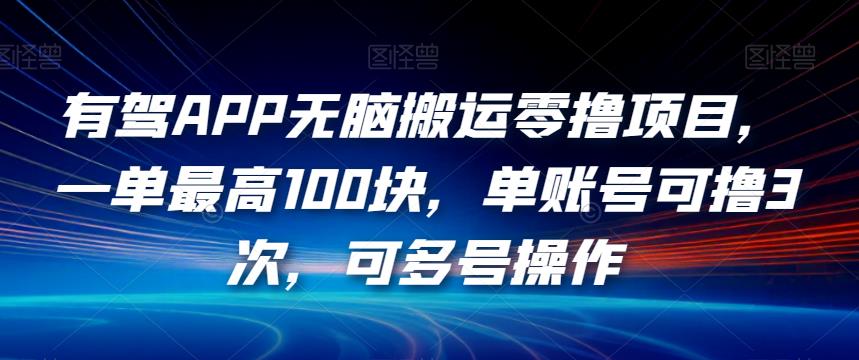 有驾APP无脑搬运零撸项目，一单最高100块，单账号可撸3次，可多号操作【揭秘】-副业宇宙