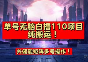 9月全网首发，单号直接白撸110！可多号操作，无脑搬运复制粘贴【揭秘】-副业宇宙
