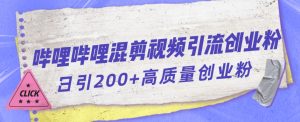 哔哩哔哩B站混剪视频引流创业粉日引300+-副业宇宙