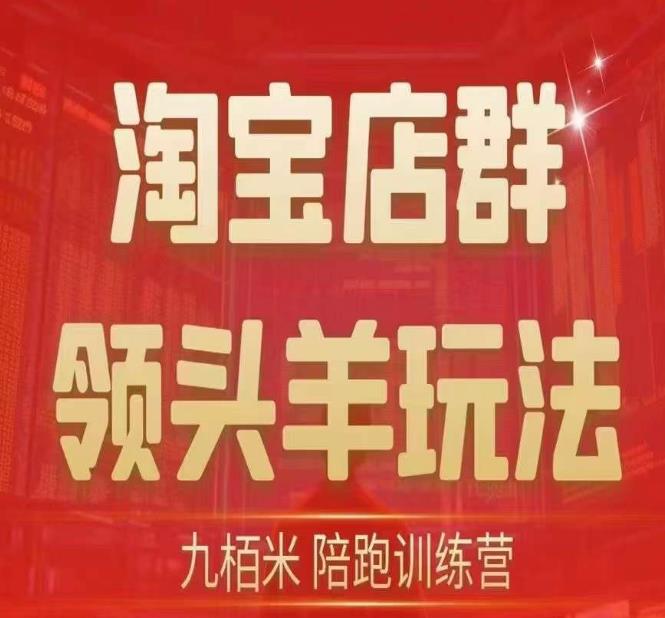 九栢米-淘宝店群领头羊玩法，教你整个淘宝店群领头羊玩法以及精细化/终极蓝海/尾销等内容-副业宇宙