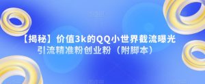 【揭秘】价值3k的QQ小世界截流曝光引流精准粉创业粉（附脚本）-副业宇宙