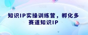知识IP实操训练营,孵化多赛道知识IP-副业宇宙