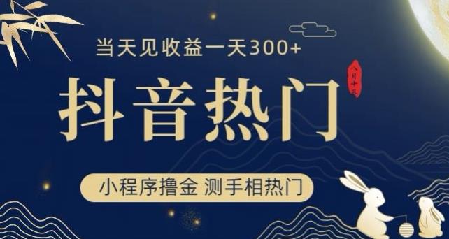 抖音最新小程序撸金，测手相上热门，当天见收益一小时变现300+【揭秘】-副业宇宙