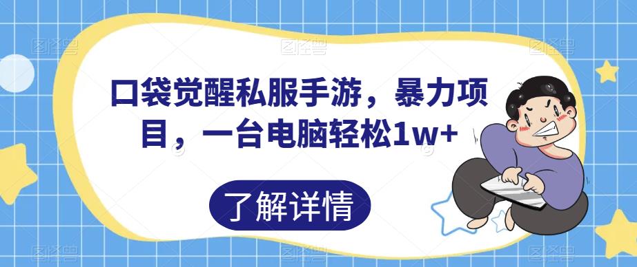 口袋觉醒私服手游，暴力项目，一台电脑轻松1w+【揭秘】-副业宇宙
