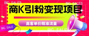 商K引粉变现项目，高客单价精准流量【揭秘】-副业宇宙