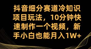抖音细分赛道冷知识项目玩法，10分钟快速制作一个视频，新手小白也能月入1W+【揭秘】-副业宇宙