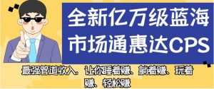 全新亿万级蓝海市场通惠达cps,最强管道收入,让你睡着赚、躺着赚、玩着赚、轻松赚【揭秘】-副业宇宙