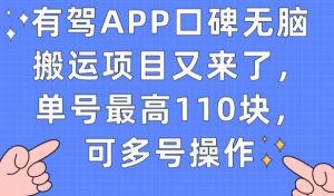 有驾APP口碑无脑搬运项目又来了，单号最高110块，可多号操作-副业宇宙