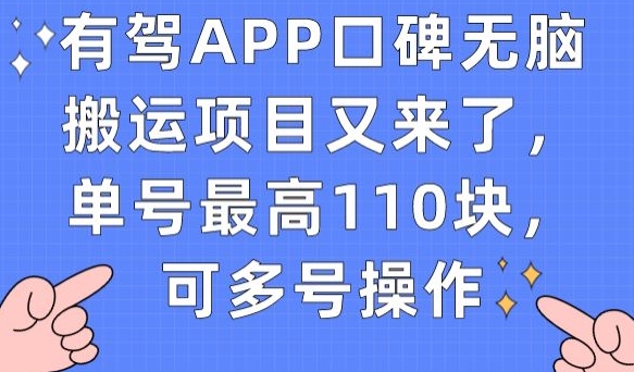 有驾APP口碑无脑搬运项目又来了，单号最高110块，可多号操作-副业宇宙