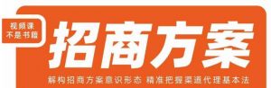 王昕招商方案,解构招商方案意识形态,精准把握渠道代理基本法-副业宇宙