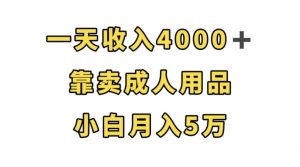 一天收入4000+,靠卖成人用品,小白轻松月入5万【揭秘】-副业宇宙