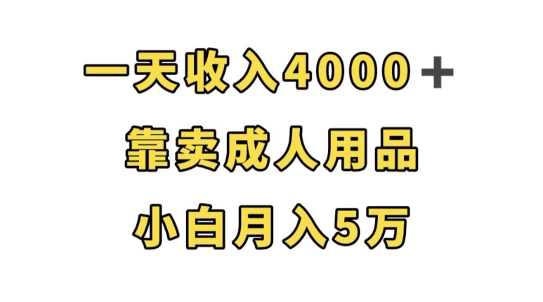 一天收入4000+，靠卖成人用品，小白轻松月入5万【揭秘】-副业宇宙