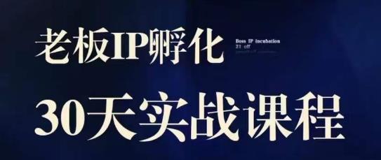 诸葛·2023老板IP实战课，实体同城引流获客，IP孵化必听-副业宇宙