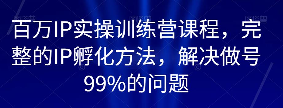 百万IP实操训练营课程，完整的IP孵化方法，解决做号99%的问题-副业宇宙