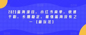 2023蓝海项目,小红书商单,快速千粉,长期稳定,最强蓝海没有之一(新玩法)-副业宇宙