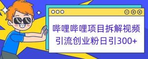 哔哩哔哩项目拆解引流创业粉日引300+小白可轻松上手【揭秘】-副业宇宙