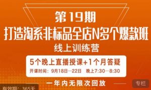 打造淘系非标全店N多个爆款线上课，​5天直播课-副业宇宙