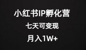 价值2000+的小红书IP孵化营项目,超级大蓝海,七天即可开始变现,稳定月入1W+-副业宇宙