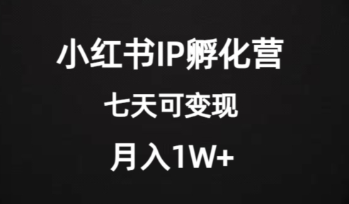 价值2000+的小红书IP孵化营项目，超级大蓝海，七天即可开始变现，稳定月入1W+-副业宇宙