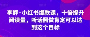 李鲆·小红书爆款课，十倍提升阅读量，听话照做肯定可以达到这个目标-副业宇宙